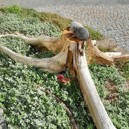 Sobetzko Сasa de vacaciones Wilthen