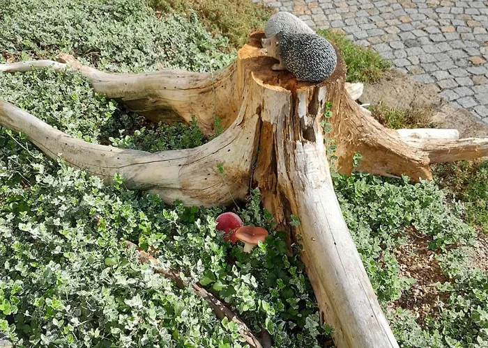 Sobetzko Holiday home Wilthen